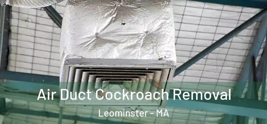  Air Duct Cockroach Removal Leominster - MA