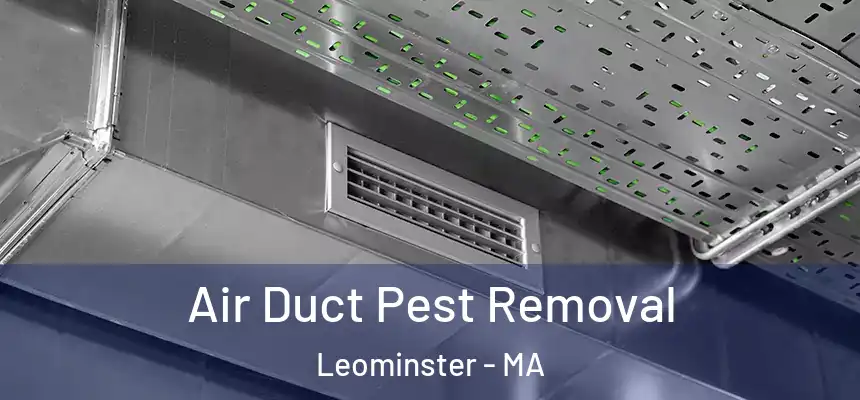  Air Duct Pest Removal Leominster - MA