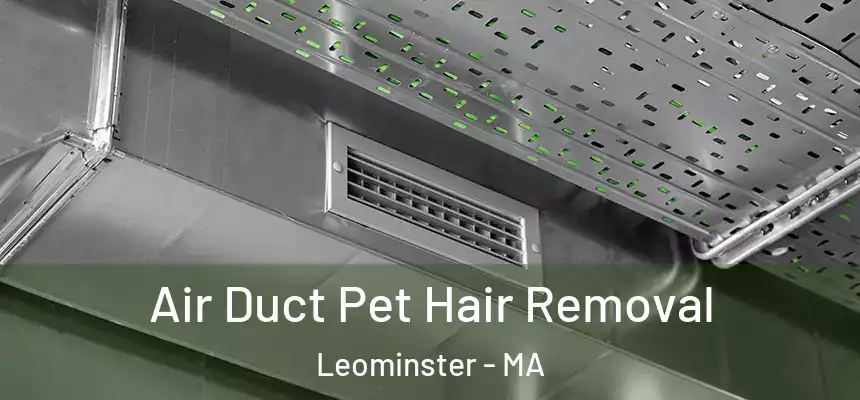  Air Duct Pet Hair Removal Leominster - MA