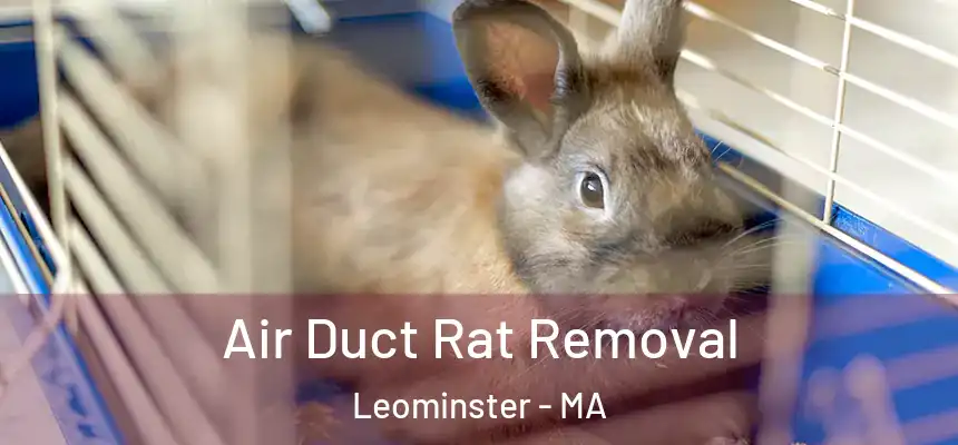  Air Duct Rat Removal Leominster - MA