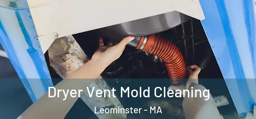  Dryer Vent Mold Cleaning Leominster - MA