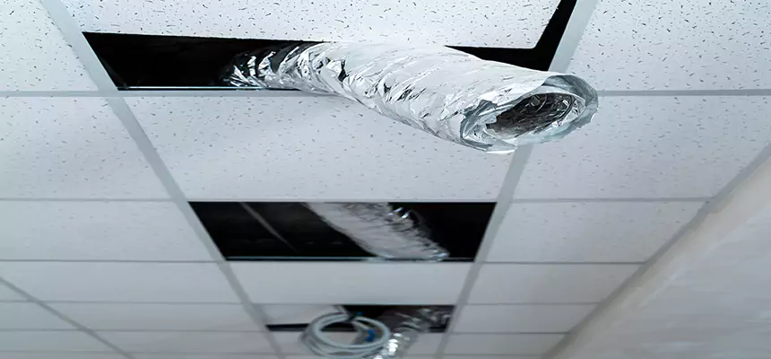 Our Air Duct Pet Hair Removal Services in Leominster, MA