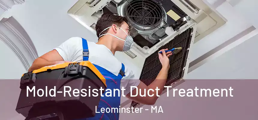  Mold-Resistant Duct Treatment Leominster - MA