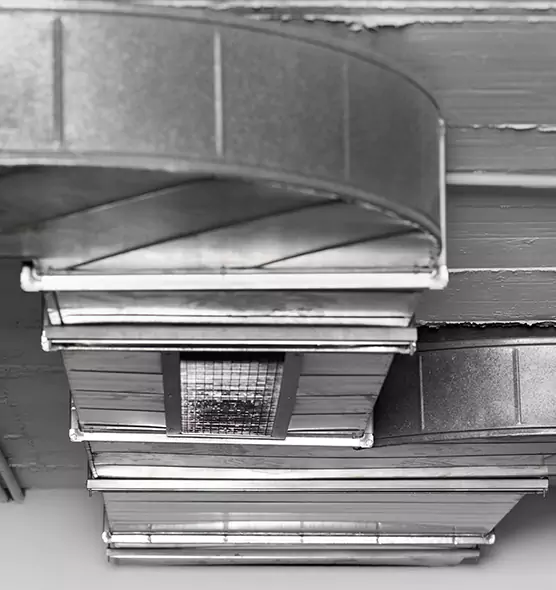 Professional Air Duct Pest Removal in Leominster, MA