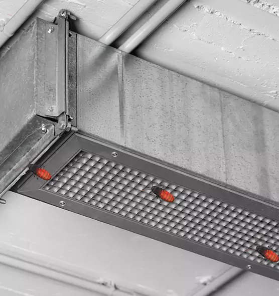 Affordable Insect Removal from Air Ducts in Leominster, MA