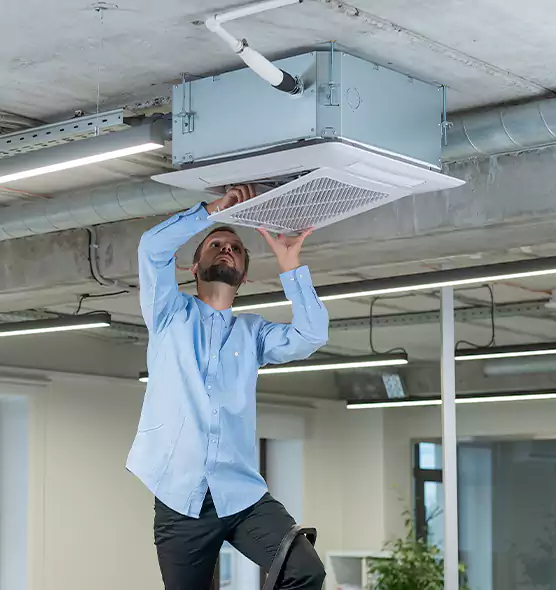 Advanced Rodent Droppings In Vents in Leominster, MA