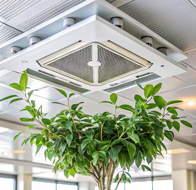 Why Homeowners & Businesses Trust Us in Leominster, MA